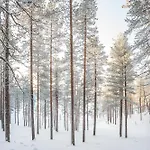 Willa Poronperae Kuusamo