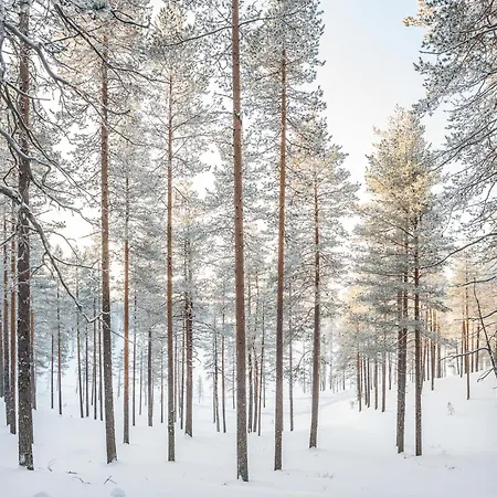 ヴィラ Poronperae クーサモ