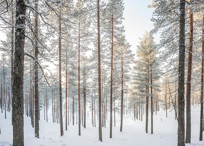 Huvilat Poronperä Kuusamo