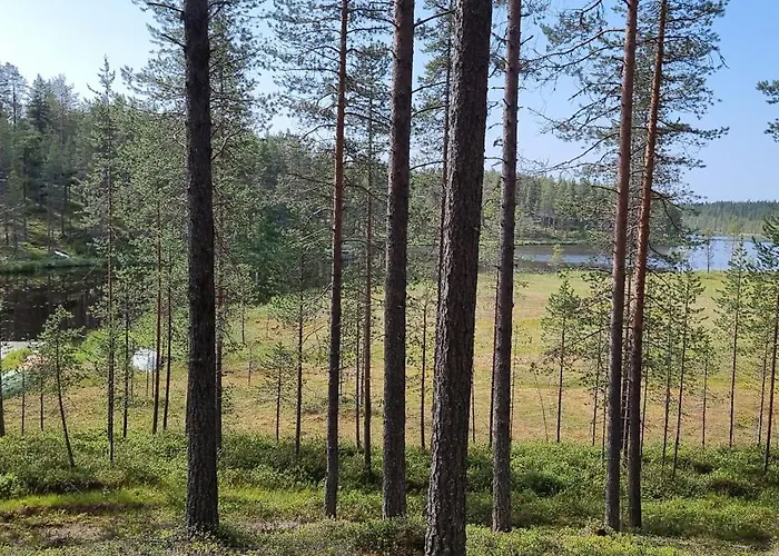 Huvilat Poronperä *